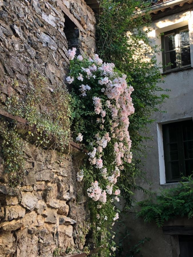 Apartamento La Provence Authentique A 30 Minutes Des Plages Collobrières Exterior foto